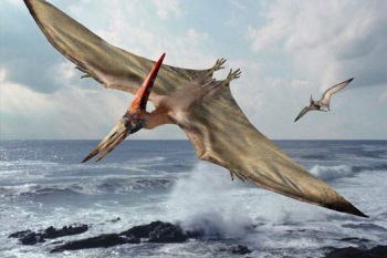 Летающие динозавры